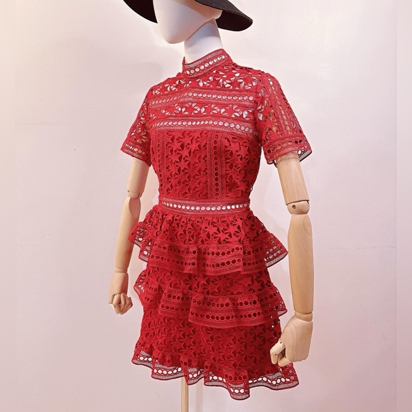 HIGH NECK STAR LACE PANELLED DRESS By Self-portrait - Picture 4 of 10